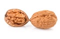 Isolated walnut. Two halves of walnuts isolated on white background