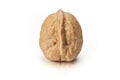 Isolated walnut