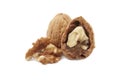 Isolated walnuts Royalty Free Stock Photo