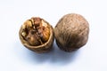 Isolated walnuts close up