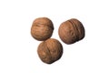 Isolated walnuts on white background