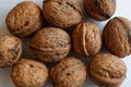 Isolated walnuts on a white background.