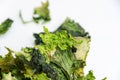 Isolated rotten lettuce on white background