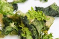 Isolated rotten lettuce on white background