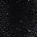 Isolated water droplets/drops/bubbles on a black background
