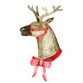 Santa`s Christmas Reindeer watercolor cute illustration Royalty Free Stock Photo