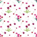 Isolated watercolor painted tulips with leaves in seamless pattern on white background. artwork is for background, tile print or w Royalty Free Stock Photo