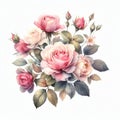 isolated watercolor springtime rose bouquet