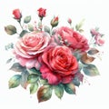 isolated watercolor springtime rose bouquet
