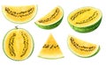 Yellow watermelon pieces Royalty Free Stock Photo