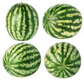 Isolated watermelons. Collection of watermelon fruits isolated on white background with clipping path.