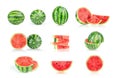 Isolated watermelons. Collection of whole and cut watermelon fruits
