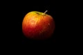 Isolated Wellant apple against a black background, Belgium