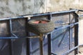 Isolated wheel of a blue wheelbarrow