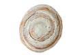 Isolated on white background baked round snail bun cinnamon with cream close-up top view Royalty Free Stock Photo