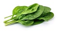 Isolated on a white background green fresh spinach