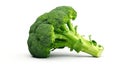 Isolated on a white background juicy green broccoli