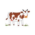 Isolated on white background kawaii brown cow grazing on a meadow