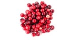 On an isolated white background ripe tasty healthy wild berry cranberry harvested on a marshland in the autumn. Royalty Free Stock Photo