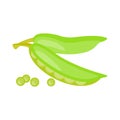 Isolated on a white background are two green pea pods. Flat vector illustration Royalty Free Stock Photo