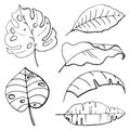 Hand drawn botanical set. Tropical leaves. Isolated on white background. Vector illustration Royalty Free Stock Photo