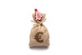 Isolated on white bag with money, euro sign and new year and christmas tree Royalty Free Stock Photo