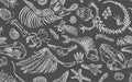 Isolated white chalk contour imprints skeletons of prehistoric animals, insects and plants. Seamless pattern realistic