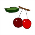 Isolated on white cherry Stock illustration, vector, hand drawing, design element  for printing, scrapbooking, postcard Royalty Free Stock Photo