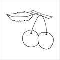 Isolated on white cherry Stock illustration, vector, hand drawing, design element  for printing, scrapbooking, postcard Royalty Free Stock Photo
