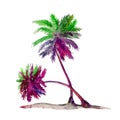 Isolated on white colorful couple palms watercolor painting, illustration design element