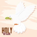 Isolated white dove Holy week Vector Royalty Free Stock Photo