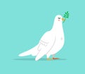 Cute white dove bird illustration isolated Royalty Free Stock Photo