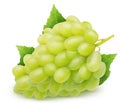 Isolated white grapes. Bunch of Thompson seedless grapes with leaves isolated on white background with clipping path. Royalty Free Stock Photo