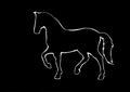 Isolated white outline standing horse on black background Royalty Free Stock Photo