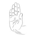 Isolated white palm of the hand that shows sign stop or greetings