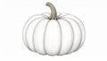 Isolated White Pumpkin with Short Stem in a Center Composition on a Clean Background Royalty Free Stock Photo