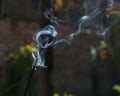 Isolated white random smoke of Joss-stick Royalty Free Stock Photo