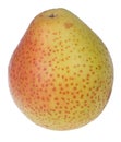 Isolated on white ripe forelle pear Royalty Free Stock Photo