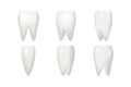 Isolated on white rotation tooth root animation frames realistic 3d stomatology dental teeth care icons set design