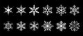 Isolated White Snowflake Collection on black background Royalty Free Stock Photo