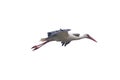 Isolated white stork. Royalty Free Stock Photo