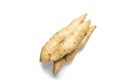 isolated white sweet potato Royalty Free Stock Photo