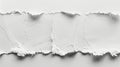 Isolated white torn paper piece design on white background for creative projects Royalty Free Stock Photo