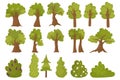 Isolated on white tree set, vector illustration, green forest element collection, environment nature plant with leaf Royalty Free Stock Photo