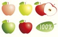 Isolated whole and cut red, yellow and green color apple with labeled leaf and 100%.