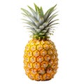 Isolated whole vertical pineapple