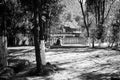 Isolated woman in the garden of Black Dragon Pool