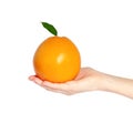 Isolated woman hand holding a orange or grapefruit with green le Royalty Free Stock Photo