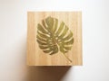 Isolated wooden box with a leaf on a white background Royalty Free Stock Photo