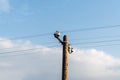 Isolated wooden electricity mast under an expressive sky